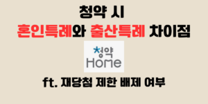 혼인특례 출산특례